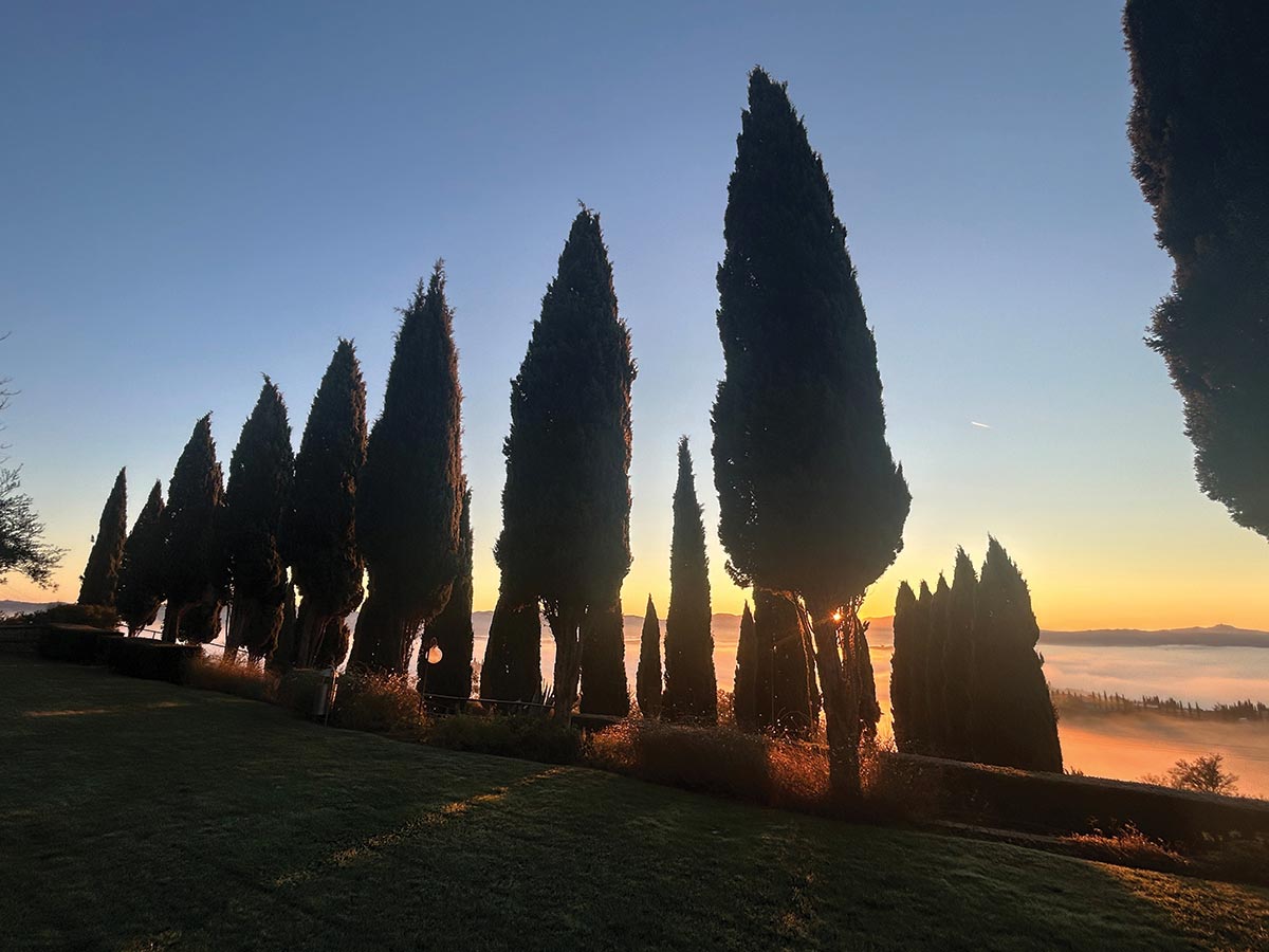 Wine Column: Brunello di Montalcino 2021 Is A Buyer’s Vintage