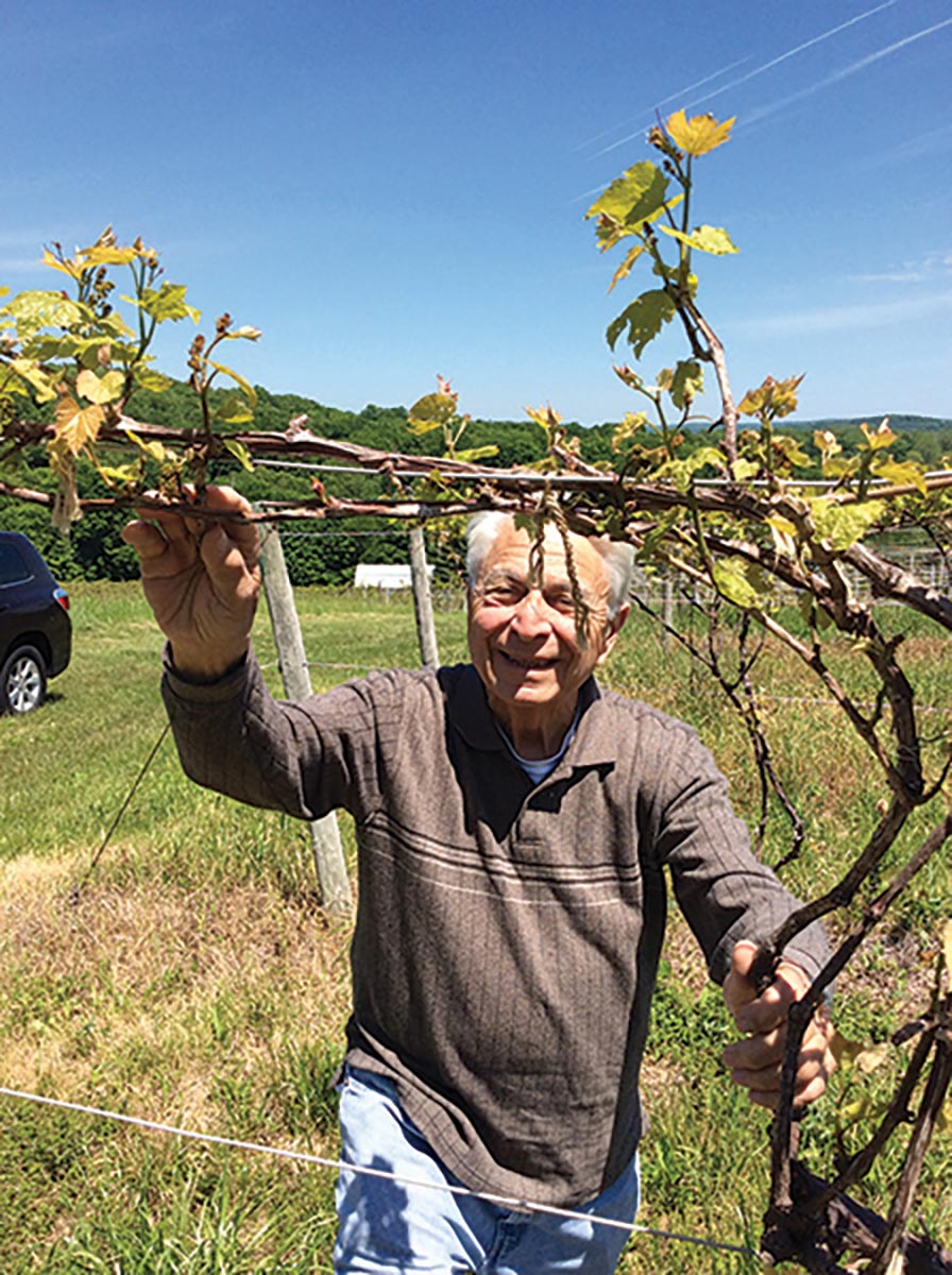 Founder of DiGrazia Vineyards Leaves Far-Reaching Legacy