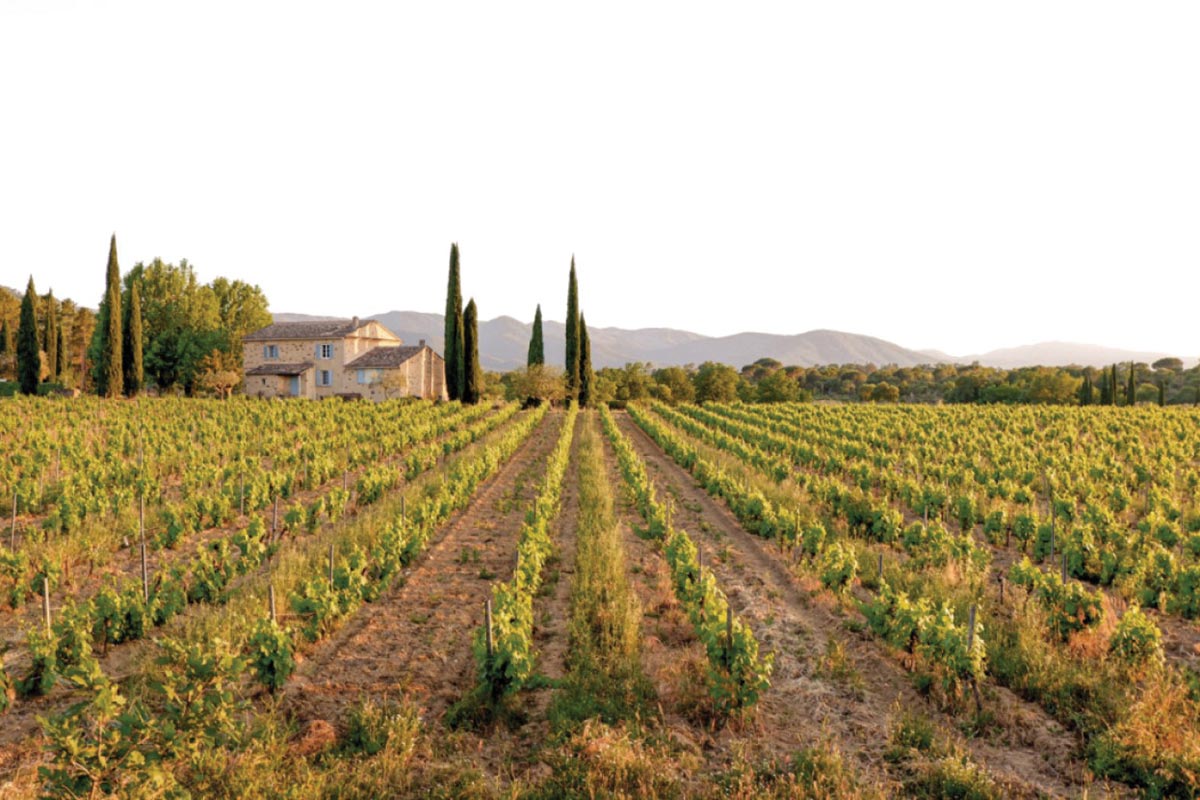 Domaine Mirabeau Achieves Regenerative Organic Status