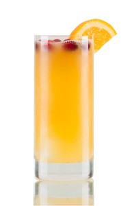 THE GINGER BELL 1 ½ oz. TANDUAY Silver Asian Rum ¾ oz. gingerbread simple syrup** 1 oz. orange juice 1 oz. white cranberry juice Combine ingredients over ice and shake well. Pour over large ice cube with cranberries frozen inside. Or pour over rocks and garnish with a few cranberries and an orange slice. 