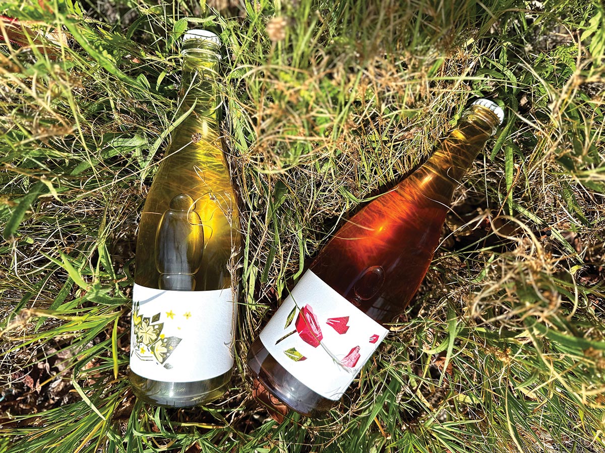 Wine Wizards Welcomes Low-ABV Sparkling Wines
