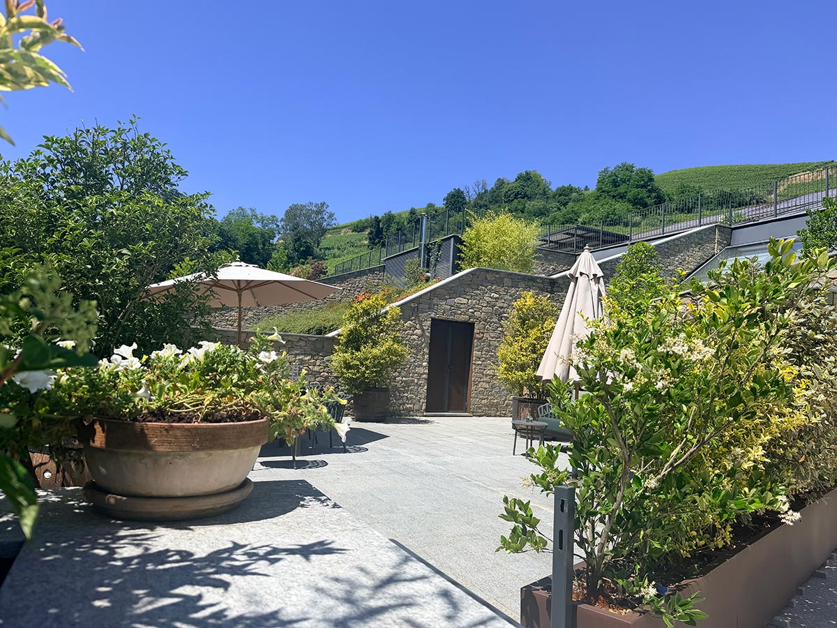 Wine Column: Trade the Beach for the Vineyard