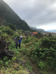 Johnson & Wales University students in Madeira on the north coast of the island in San Vicente.