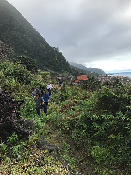 Johnson & Wales University students in Madeira on the north coast of the island in San Vicente.