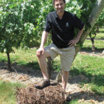 Jonh Nunes stands on grapevine bale. Photos provided by Newport Vineyards. Credit: Marianne Lee Photography.
