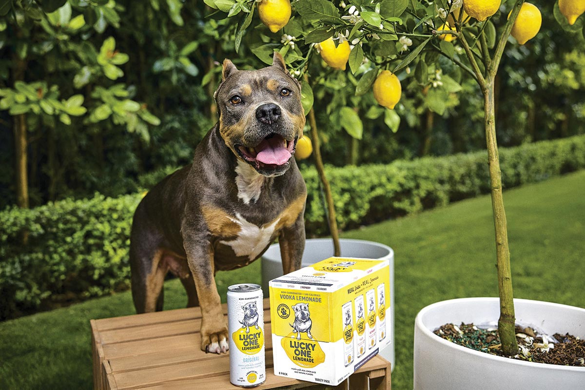 Lucky One Lemonade Debuts to Help Dogs
