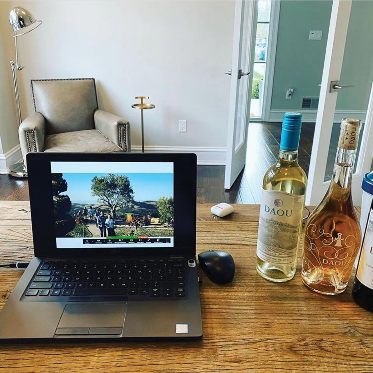 Daou Family Estates Takes Visitors to Vineyard Online