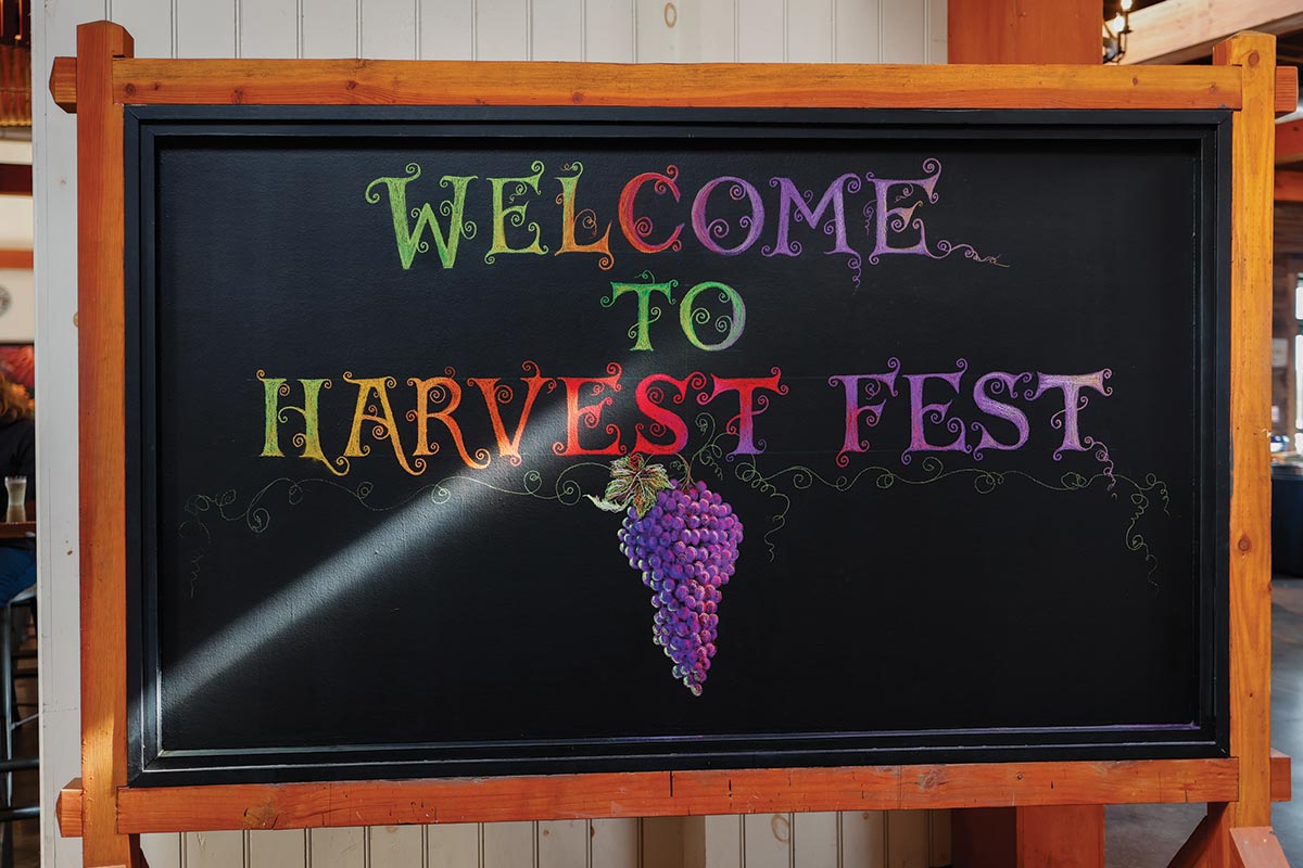 Newport Vineyards Hosts Cheers to 30 Years Harvest Fest
