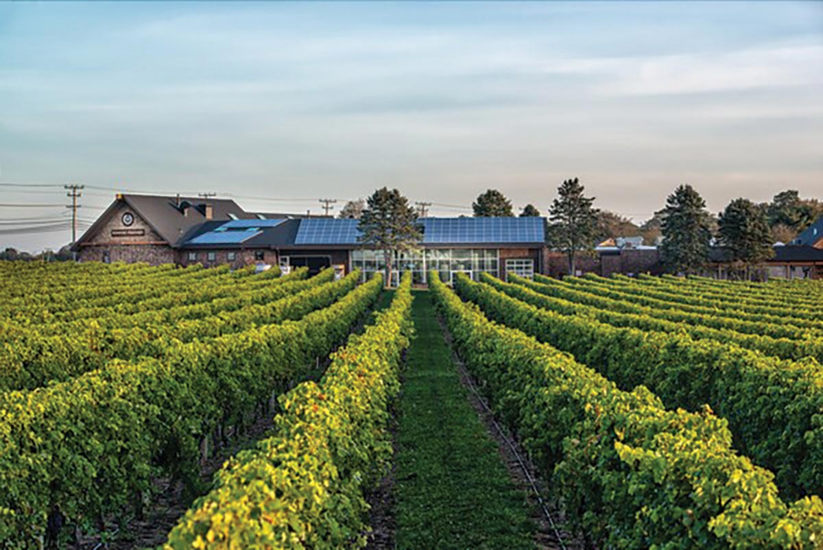 Newport Vineyards Begins 30th Anniversary Celebrations