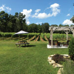 Nickle Creek Vineyard.