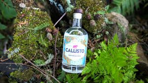 Callisto Botanical Rum. Photograph courtesy of Callisto