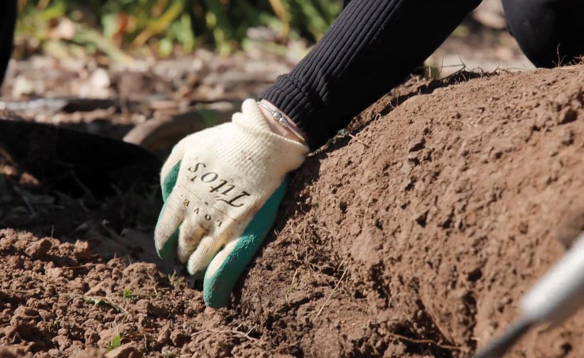Companies Team Up for Community Effort