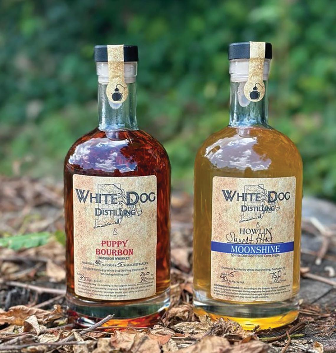 Wine Wizards Partners with Rhode Island Brand