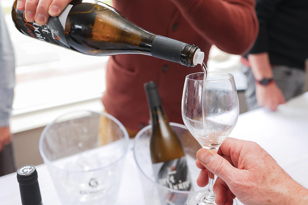 Wine Wizards Welcomes Mucci Imports to Newport