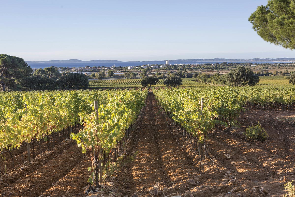 Moët Hennessy to Acquire Provence’s Château du Galoupet