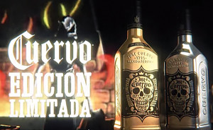 cuervo ltd