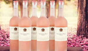murphy notorius pink